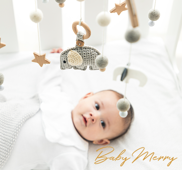 Baby Merry : HOPPL（ホップル）｜ベビー用品のチェアとキッズデスク 